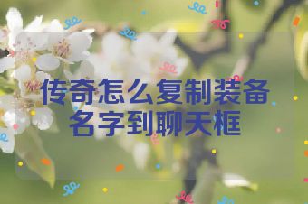 传奇怎么复制装备名字到聊天框