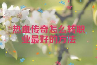 热血传奇怎么转职业最好的方法