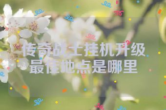 传奇战士挂机升级最佳地点是哪里