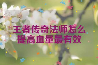 王者传奇法师怎么提高血量最有效