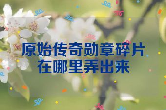 原始传奇勋章碎片在哪里弄出来