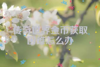 传奇世界金币获取困难怎么办