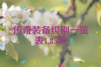 传奇装备级别一览表1.85级