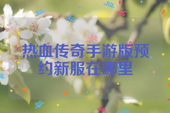 热血传奇手游版预约新服在哪里
