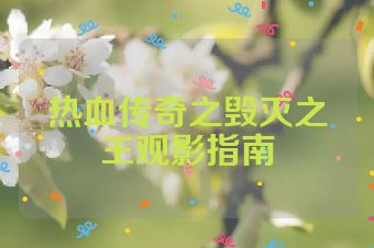 热血传奇之毁灭之王观影指南
