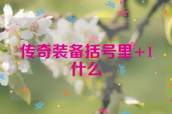 传奇装备括号里+1什么