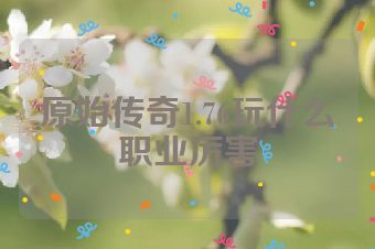 原始传奇1.76玩什么职业厉害