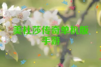 美杜莎传奇单机版手游
