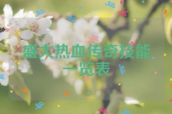 盛大热血传奇技能一览表