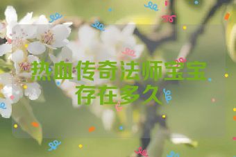 热血传奇法师宝宝存在多久