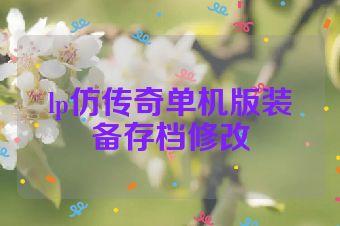 lp仿传奇单机版装备存档修改