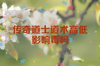 传奇道士道术高低影响毒吗