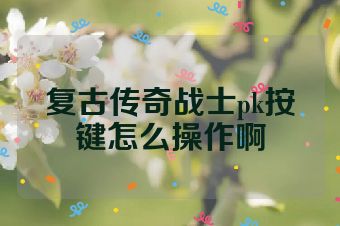 复古传奇战士pk按键怎么操作啊
