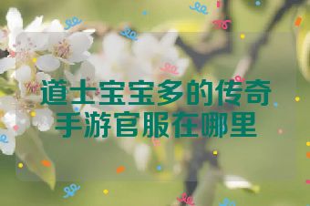 道士宝宝多的传奇手游官服在哪里