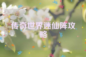 传奇世界迷仙阵攻略