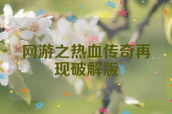 网游之热血传奇再现破解版