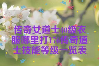 传奇女道士40级衣服哪里打176传奇道士技能等级一览表