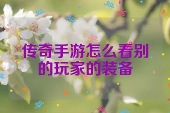 传奇手游怎么看别的玩家的装备