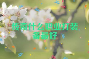 传奇什么职业打装备最好