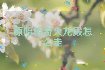 原始传奇火龙殿怎么走