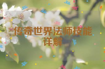 传奇世界法师技能详解