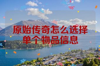 原始传奇怎么选择单个物品信息