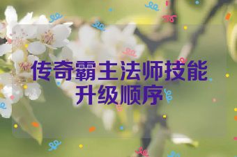 传奇霸主法师技能升级顺序