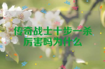 传奇战士十步一杀厉害吗为什么