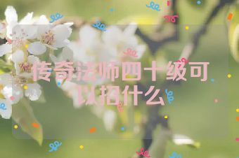 传奇法师四十级可以招什么