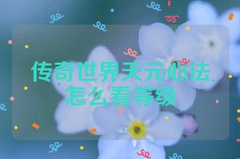 传奇世界天元心法怎么看等级