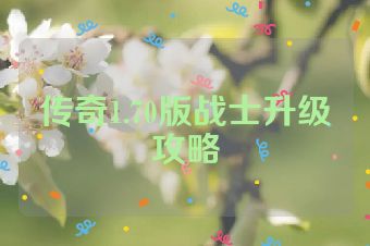 传奇1.70版战士升级攻略