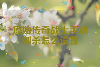 原始传奇战士手动刺杀怎么设置