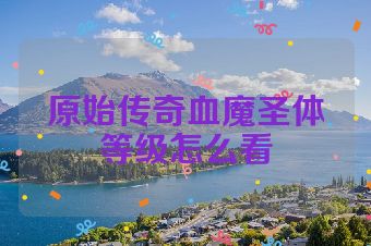 原始传奇血魔圣体等级怎么看
