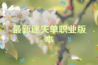 最新迷失单职业版本