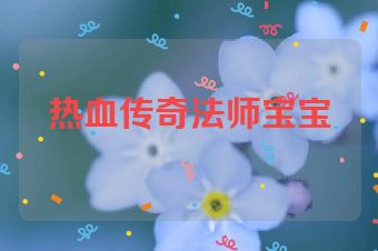 热血传奇法师宝宝