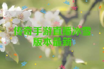 传奇手游直播冰雪版本最新