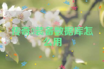 传奇3装备数据库怎么用