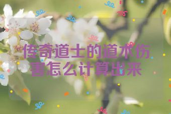 传奇道士的道术伤害怎么计算出来