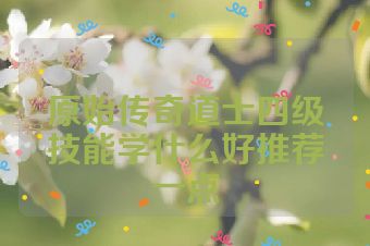 原始传奇道士四级技能学什么好推荐一点
