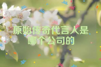 原始传奇代言人是哪个公司的