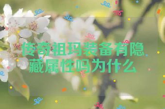 传奇祖玛装备有隐藏属性吗为什么