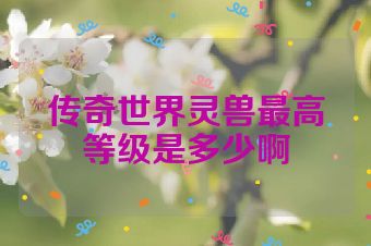 传奇世界灵兽最高等级是多少啊