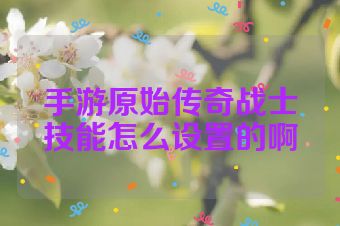 手游原始传奇战士技能怎么设置的啊