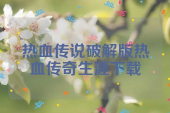 热血传说破解版热血传奇生涯下载