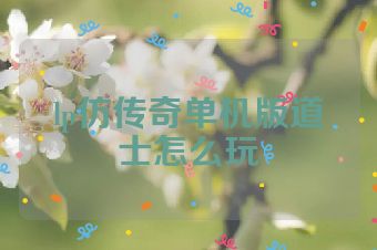 lp仿传奇单机版道士怎么玩