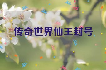 传奇世界仙王封号