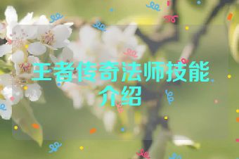 王者传奇法师技能介绍