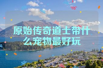 原始传奇道士带什么宠物最好玩