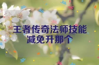 王者传奇法师技能减免升那个