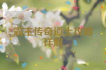 霸主传奇道士攻略详解